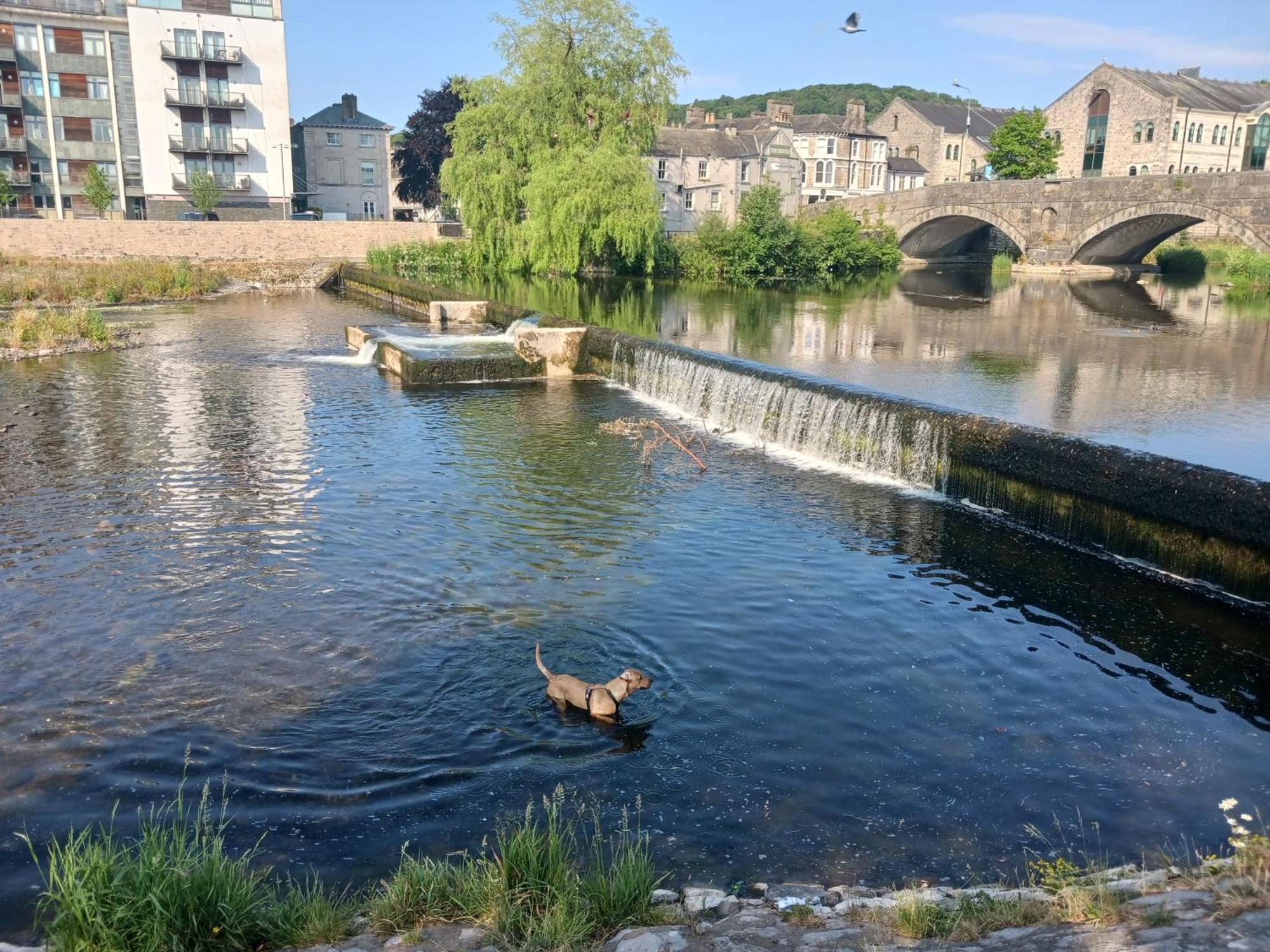 Arthurs Cottage -Charming Courtyard Cottage In The Heart Of Kendal, The Lake District Kültér fotó
